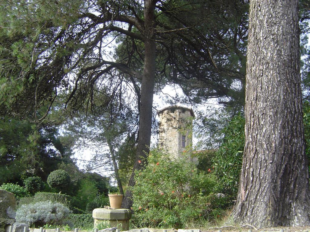 Château d'Agel chambres d'hôtes Exterior foto